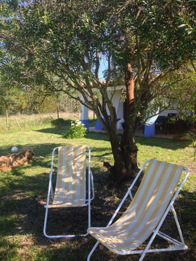 Quintinha Mojud Bed and Breakfast Rogil Εξωτερικό φωτογραφία